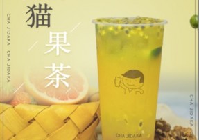 NG28：熊猫果茶
