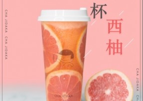 NG28：满杯西柚